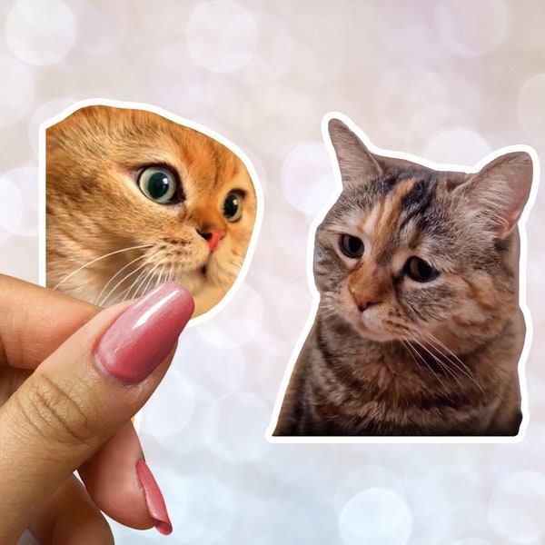 Funny Cats Talking TikTok Meme, two cats talking meme, cats talking, two cats, two cats meme, sad cat meme Kiss-Cut Stickers