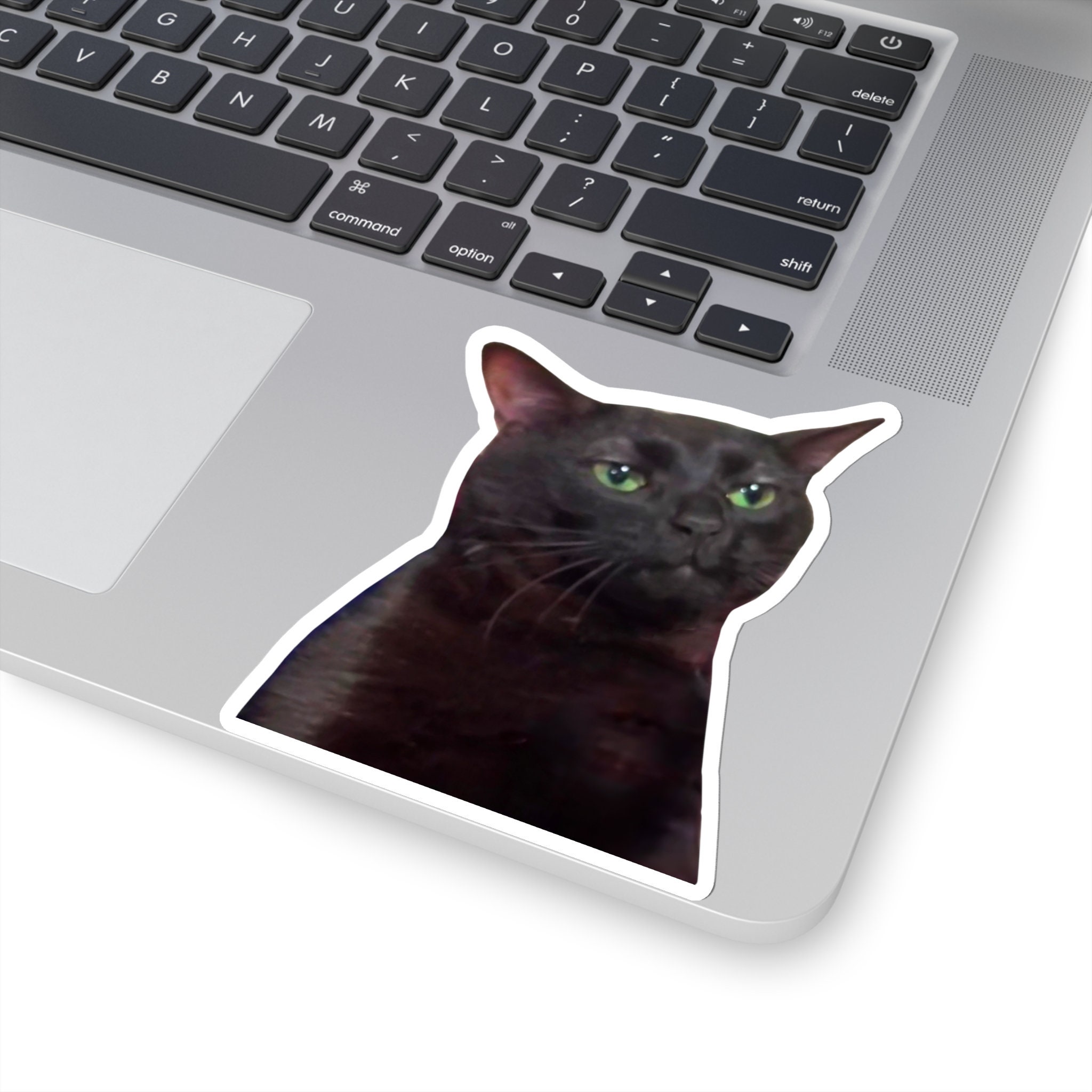 Black Cat Zoning Out Meme Sticker Decal