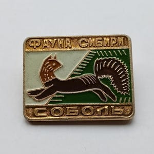 Puede incluir: Pin rectangular con borde dorado, que representa una ardilla marrón con cola tupida sobre un fondo verde y verde claro. El pin tiene texto en idioma extranjero, con las palabras "Fauna de Siberia" y "Cebellina".