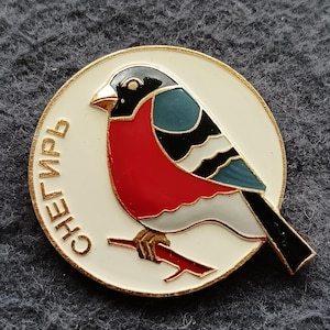 Vintage Pin Bird Bullfinch USSR