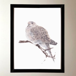 Descarga digital de una - acuarela de una paloma blanca imagen 2