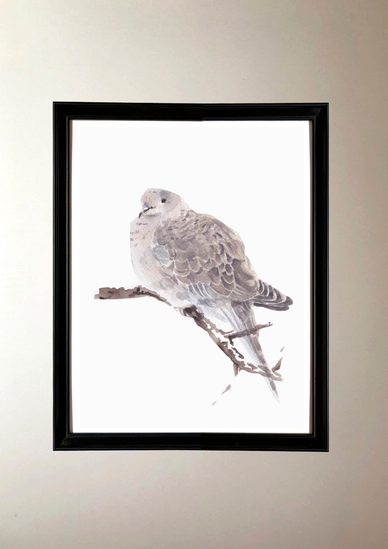 Descarga digital de una - acuarela de una paloma blanca imagen 2