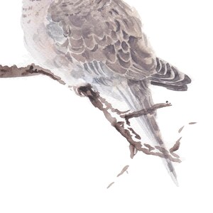 Puede incluir: Pintura a la acuarela de un p&aacute;jaro posado en una rama. Las plumas del p&aacute;jaro son una mezcla de gris y marr&oacute;n, con texturas detalladas. La rama es marr&oacute;n y el fondo es blanco, creando una composici&oacute;n simple y elegante.