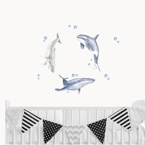 Whale Decals