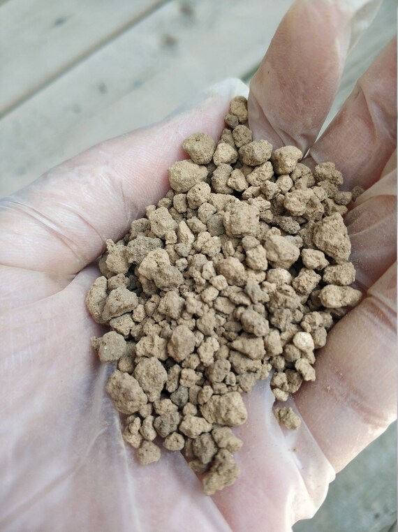 Akadama Soil 35mm Premium Bonsai Particles for Etsy