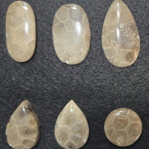 Petoskey Stone Cabochons