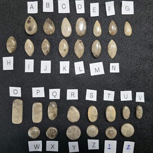 Petoskey Stone Cabochons