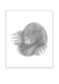 Mole product logo