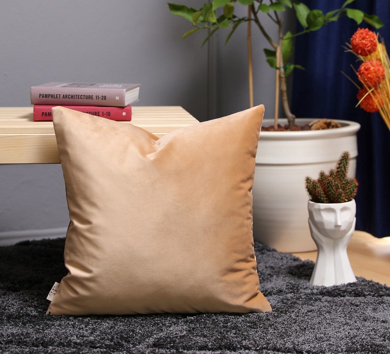 Apricot Velvet Throw Pillow Cover, All Size Pillows Custom, Made Pillow, Decorative Pillow Cover, Lumbar Velvet Cushion Cover, 20x20 More image 1