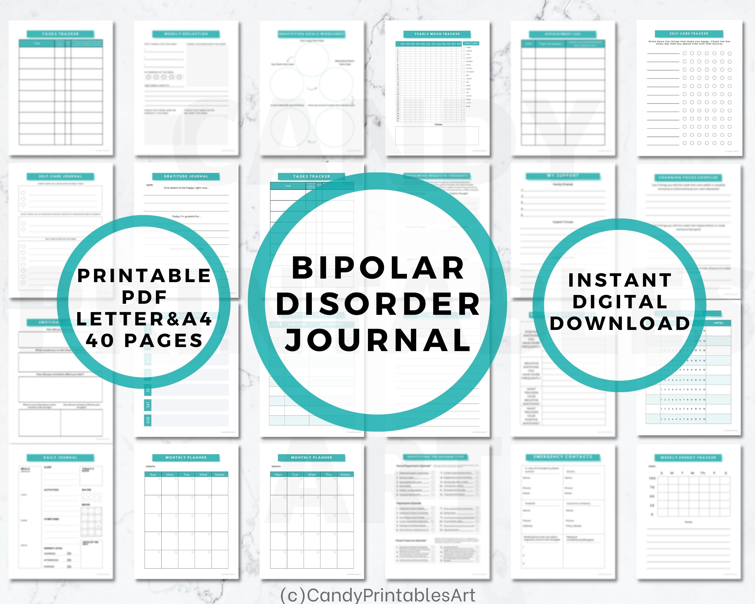 Bipolar Disorder Journal, Bipolar Mood Tracker, Daily Productivity