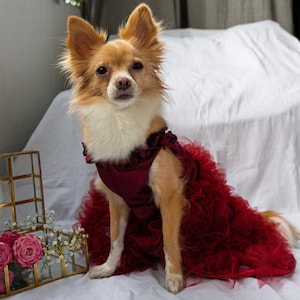 Robe Pour Petite Chienne - Style Princesse/tutu - Coton Doux - Taille XL (dos 35 Cm) - Rose - Pour Mariage, Fête, Noël