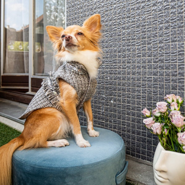 Manteau en tweed pour petit chien Veste handmade en tweed Chihuahua