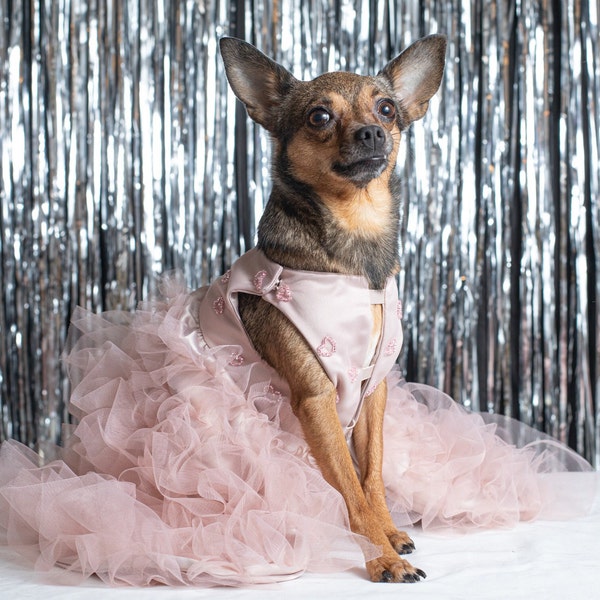 Robe de princesse pour chien