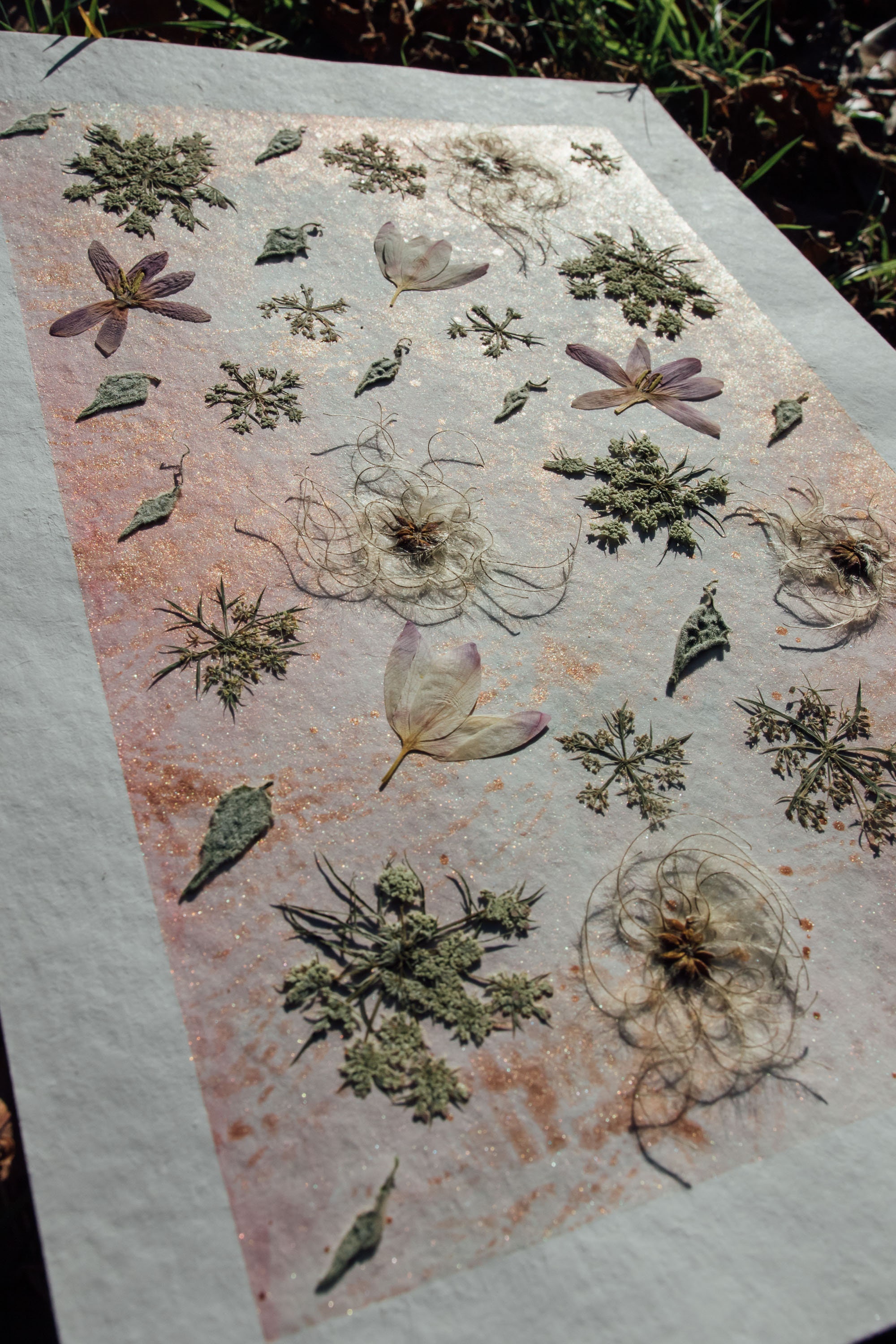 Herbier Or et Rose, Cadre Nielsen