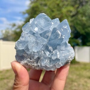 Blue Celestite Cluster - B | Blue Celestite Raw Crystals | Gems & Minerals | Meditation Home Decor | Crystal Collector | Gift For A Friend