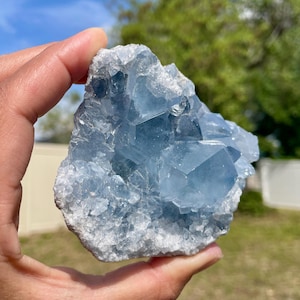 Blue Celestite Cluster - D | Blue Celestite Raw Crystal | Gems & Minerals | Meditation Home Decor | Crystal Collector | Gift For A Friend