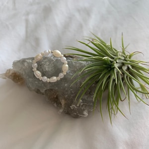 May include: A white pearl ring on a grey rock with a green air plant.