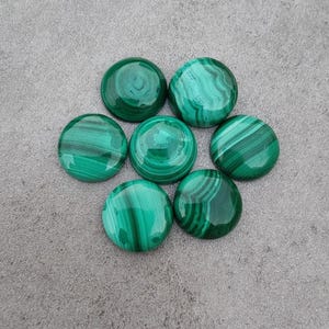 5 Pieces Of Natural Malachite Smooth Round Shape Gemstones Calibrated Wholesale Cabochon Flat Back, AAA+++ All Sizes Available