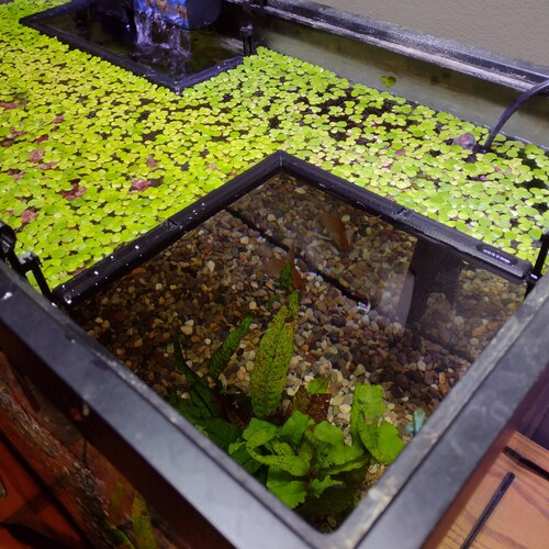 Large Corner Back filter Plant floating barrier Variable size self adjusting