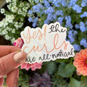 It's All Good Hair Days Stickers, Curly Hair Stickers, Natural Hair Stickers  