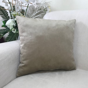 Velvet Throw Pillow Cover, Decorative Vevet Cushion Cover, Luxury Cream Pillow Cover, Decorative Pillow For Bed
