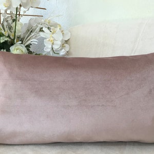 Light Pink Velvet Throw Pillow Cover, Luxury Blusher Velvet Decorative Cushion, Velvet Pillow Cover, Velvet Decorative Pillow For Bed