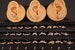 18k Gold Platinum & Rose Gold Plated Cartilage Earrings stainless steel barbell lip ear daith tragus helix Screw Back or Labret