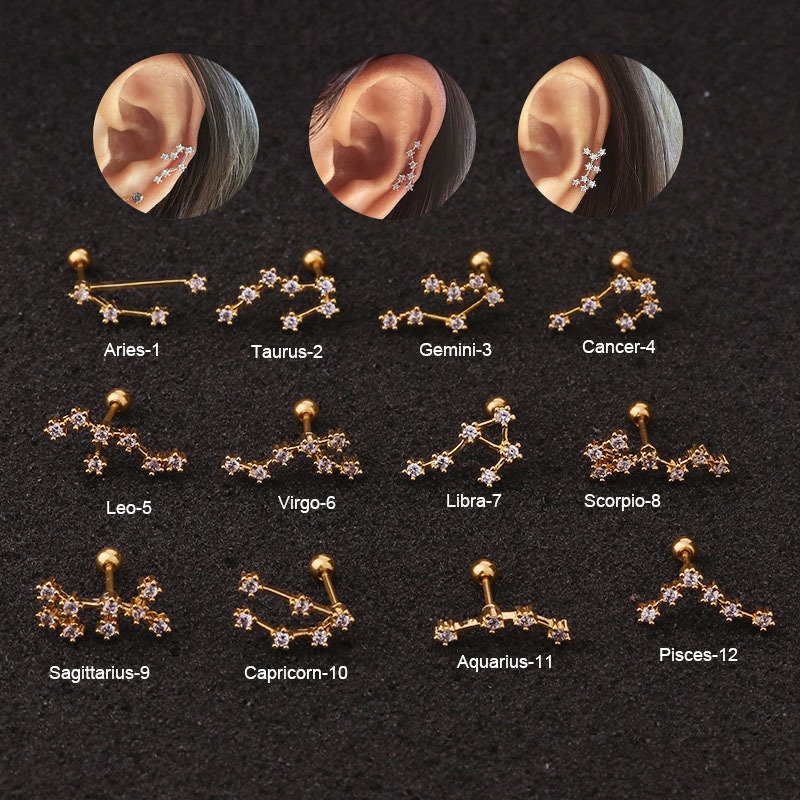 Zodiac Signs Twelve Star Constellation Horoscope Cartilage Earring Aq…