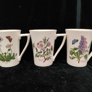 set of 3  Portmeirion Botanic Garden Mugs