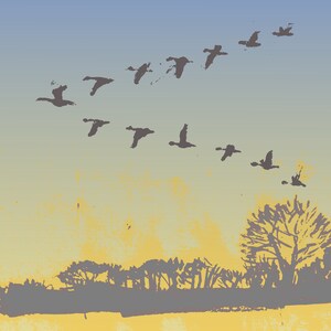 May include: A flock of geese flying in a V formation against a blue and yellow gradient sky. The geese are silhouetted against the sky, and the image has a vintage, hand-drawn feel.