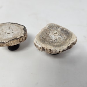 Puede incluir: Dos tiradores de armario de madera petrificada. Cada tirador tiene un patrón circular marrón claro y gris con un borde marrón oscuro. Un tirador está unido a una base negra, el otro está separado.