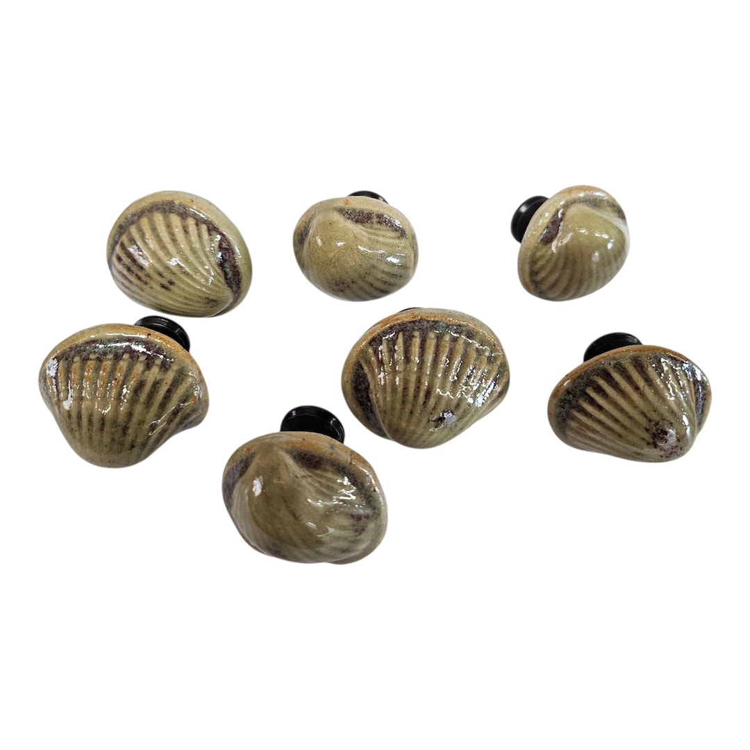 7 Ceramic Sea Shell Cabinet Knobs Pulls \ Natural Home Decor \ 7 Round ...