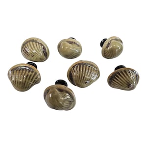 7 keramische schelpen kastknoppen trekt \ natuurlijk interieur \ 7 ronde schelp keramische ladeknop trekt \ 1,25" rond / decor zeezijde