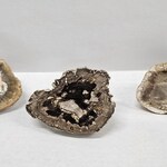 Wooden Knobs