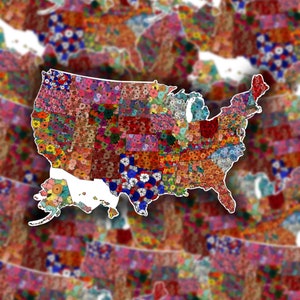 May include: A colorful map of the United States with each state filled with a different floral pattern.