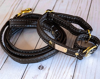 Personalized Leather Alternative Matching Dog Leash & Martingale Collar Set With Nameplates