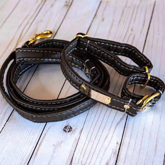 Personalized Leather Alternative Matching Dog Leash & Martingale Collar Set With Nameplates