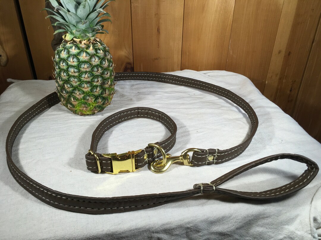 Personalized Matching Quickrelease Buckle Leather Alternative Collar
