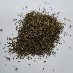Organic Dill (anethum graveolens)