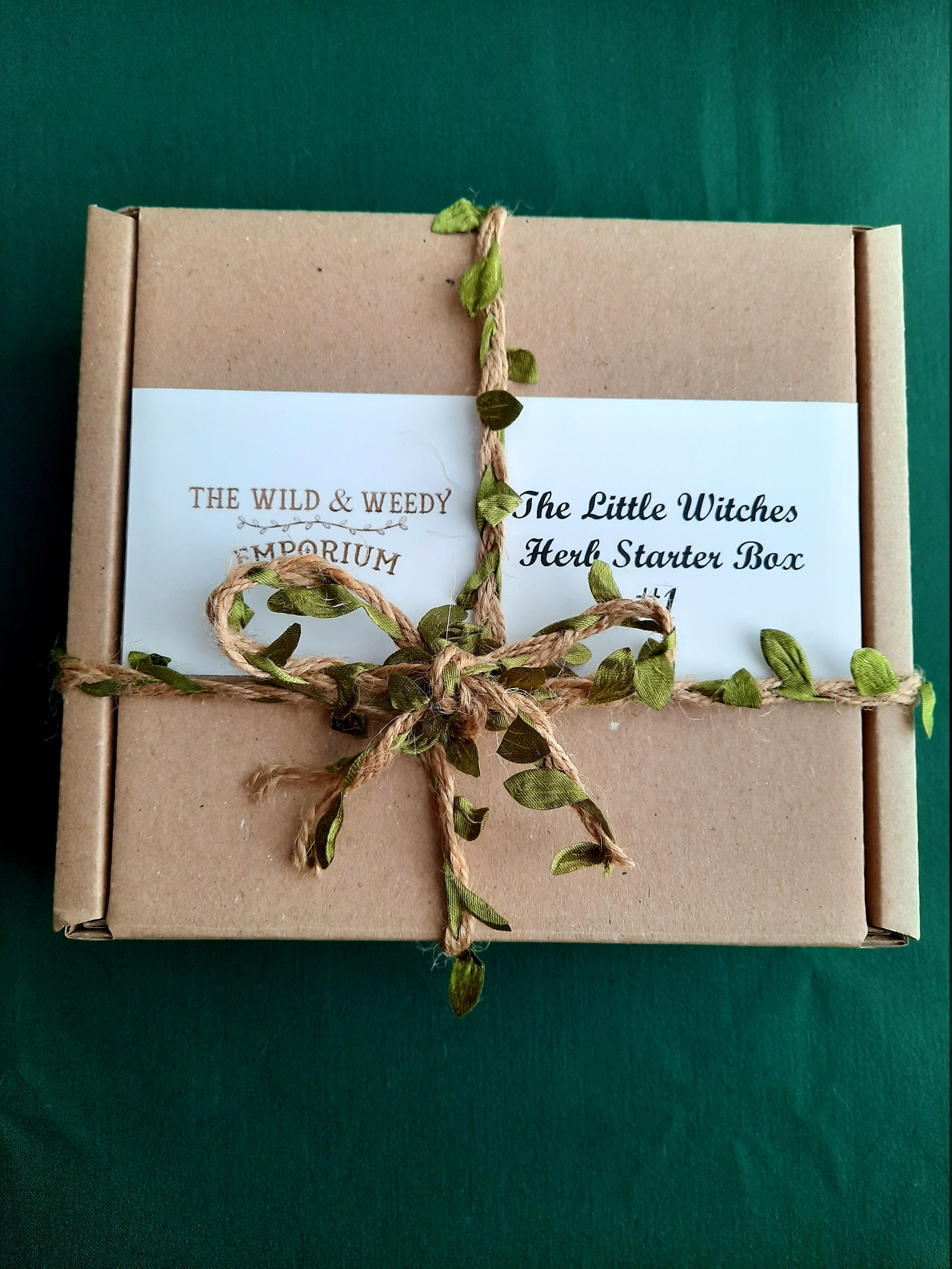 Witches Herb Starter Kit Etsy UK