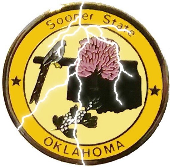 Oklahoma Pin State of Oklahoma Pins Collector Tra… - image 4