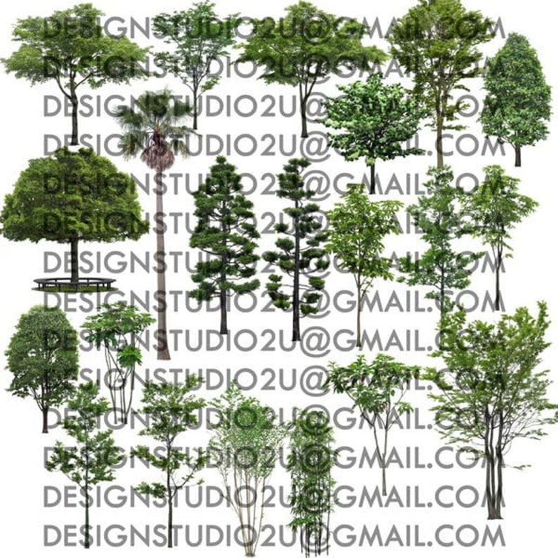 Photoshop- Tree Elevations PNG Landscape Architectural Graphics Clipart ...