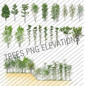 May include: A collection of various tree and bamboo silhouettes, arranged in rows, with the text "TREES PNG ELEVATIONS" at the bottom.