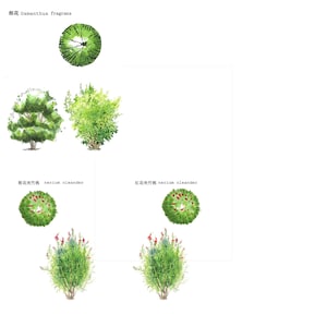 Landschaft Baum Grundriss und Höhe Pflanze Materialien Grafik Vorlage Vektor Cliparts Symbole Landschaft handgezeichnet