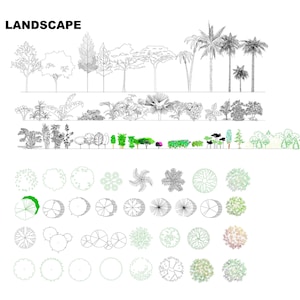 May include: Black and white line drawings of various trees and plants, including palm trees, bushes, and ferns. The image also includes top-down views of the trees and plants.