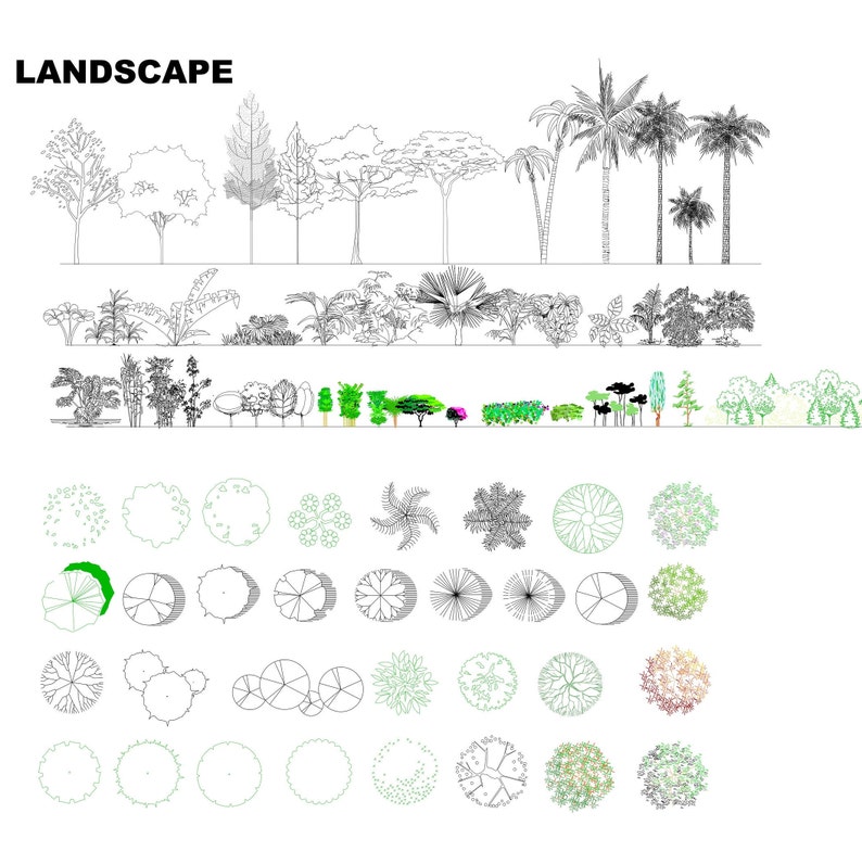 May include: Black and white line drawings of various trees and plants, including palm trees, bushes, and ferns. The image also includes top-down views of the trees and plants.