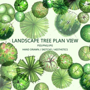 Landscape tree planarchitectural illustration Tree Plan View PNG/PSD/JPEG photoshop overlay watercolor tree top view vector graphics symbols