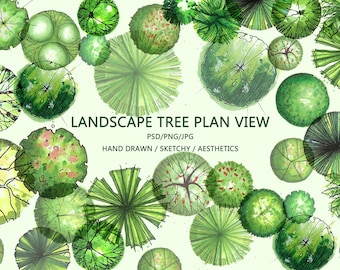 Landscape tree planarchitectural illustration Tree Plan View PNG/PSD/JPEG photoshop overlay watercolor tree top view vector graphics symbols