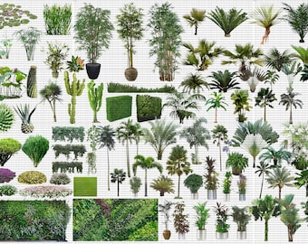 May include: A collection of various green plants and trees, including palm trees, bamboo, and hedges. The plants are arranged in rows and columns against a white background.
