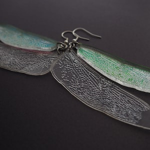 dragonfly wing earrings > iridescent and clear acrylic > laser engraved bug jewelry > sterling silver ear hook > handmade by queenbeams